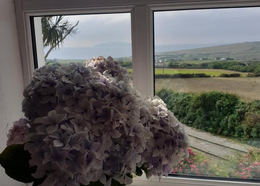 Kerry (county) Dingle surrounding environment