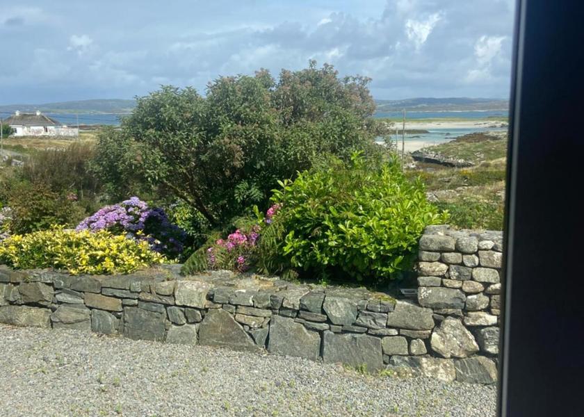 surrounding environment