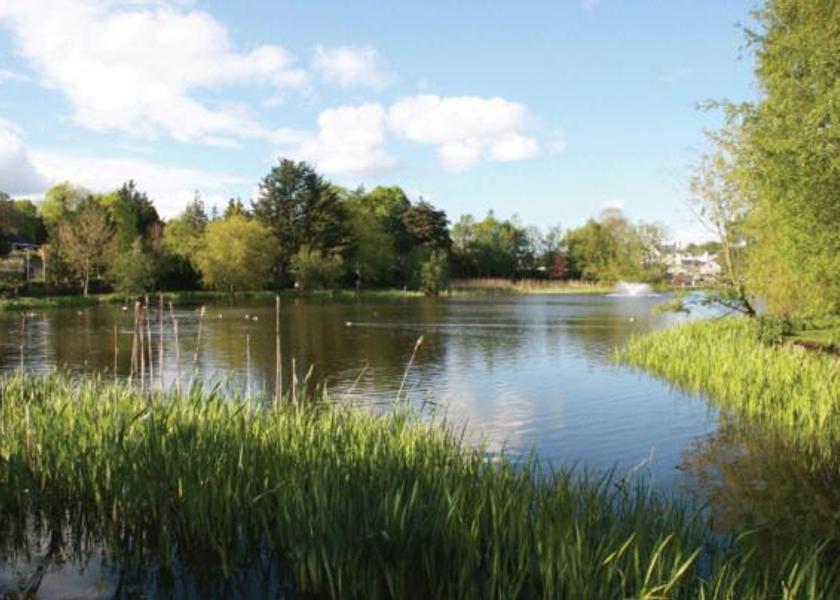 recreational facilities