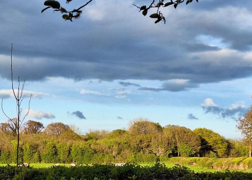 County Roscommon Lecarrow 