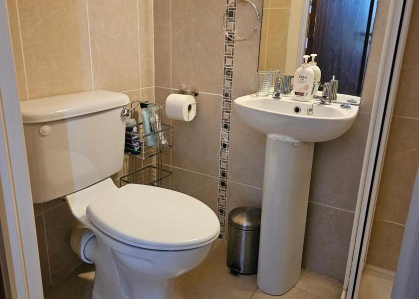 County Roscommon Lecarrow Deluxe Double Room with Shower