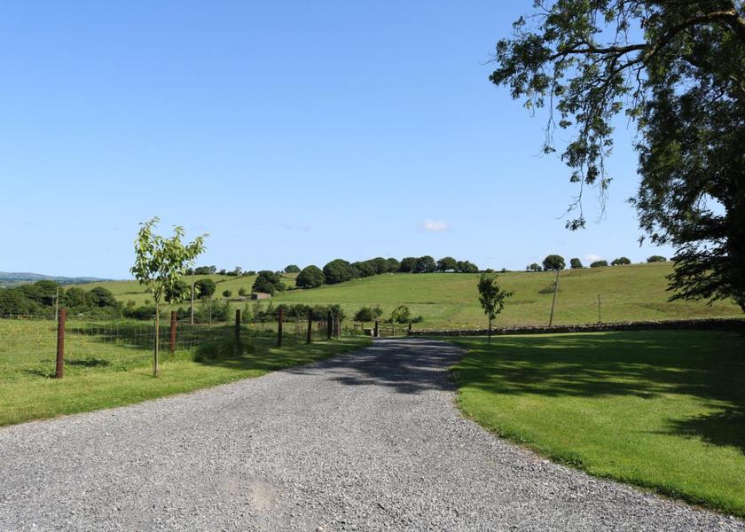 surrounding environment