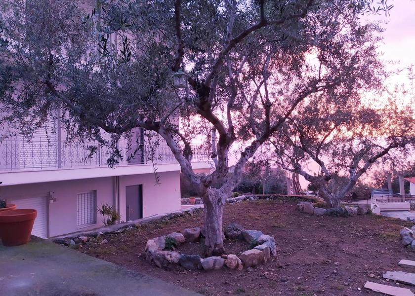 Peloponnese Region Kalamata 