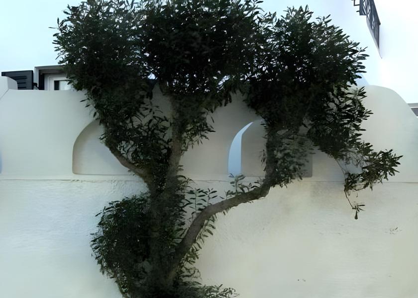 surrounding environment