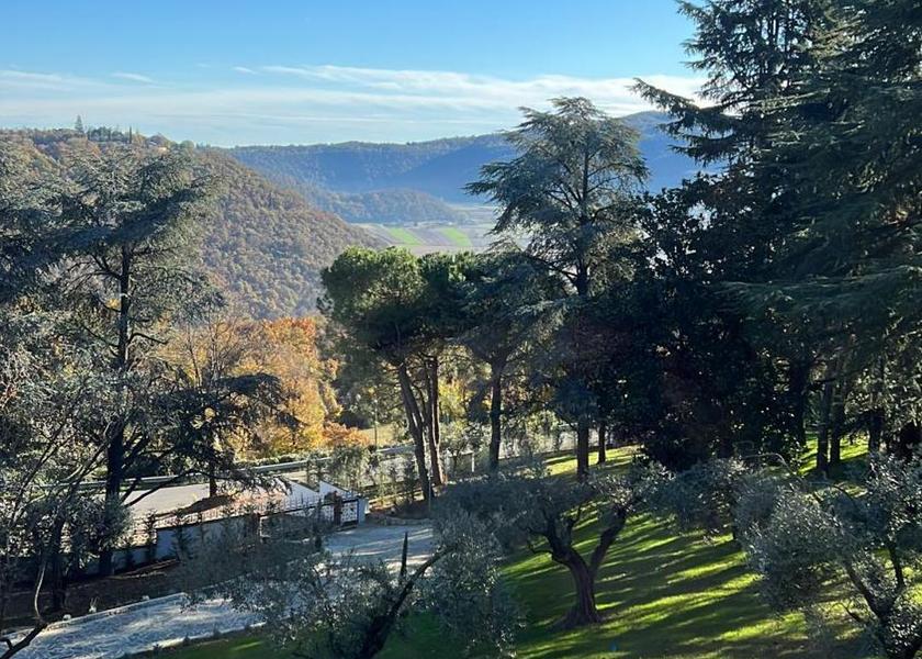 Veneto Arcugnano garden