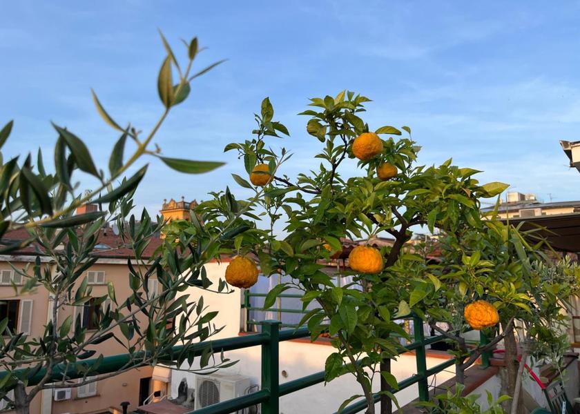 Tuscany Montecatini Terme balcony/terrace