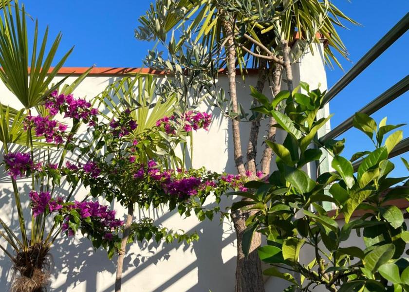 Tuscany Montecatini Terme view