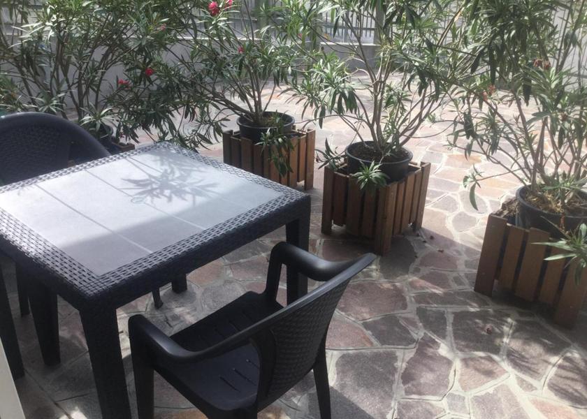 garden