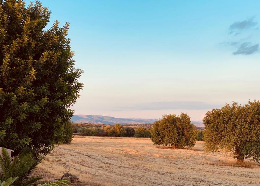 surrounding environment