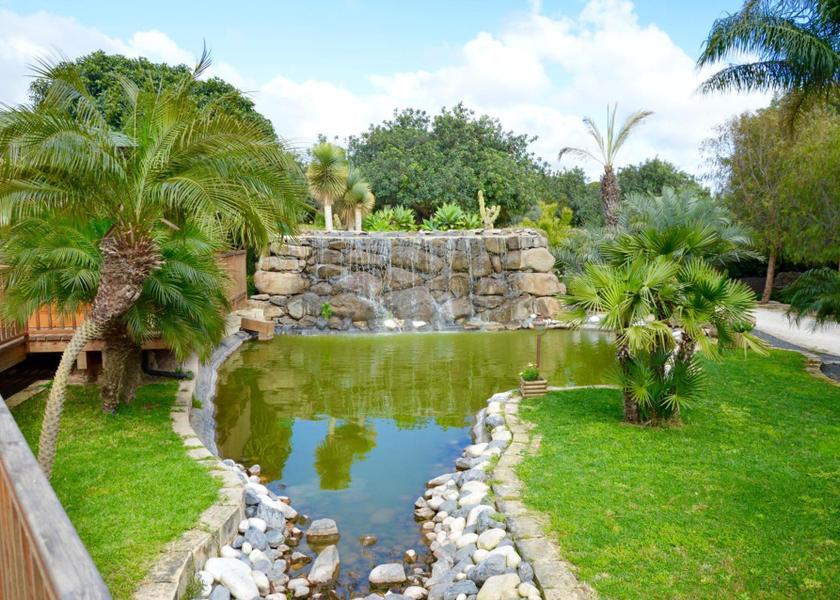 garden