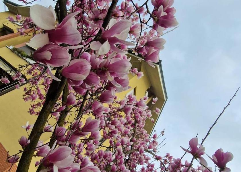 Lombardy Rozzano garden