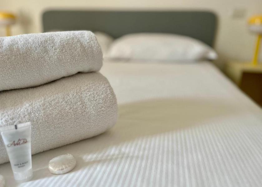 Lombardy San Donato Milanese Double Room with Private Bathroom