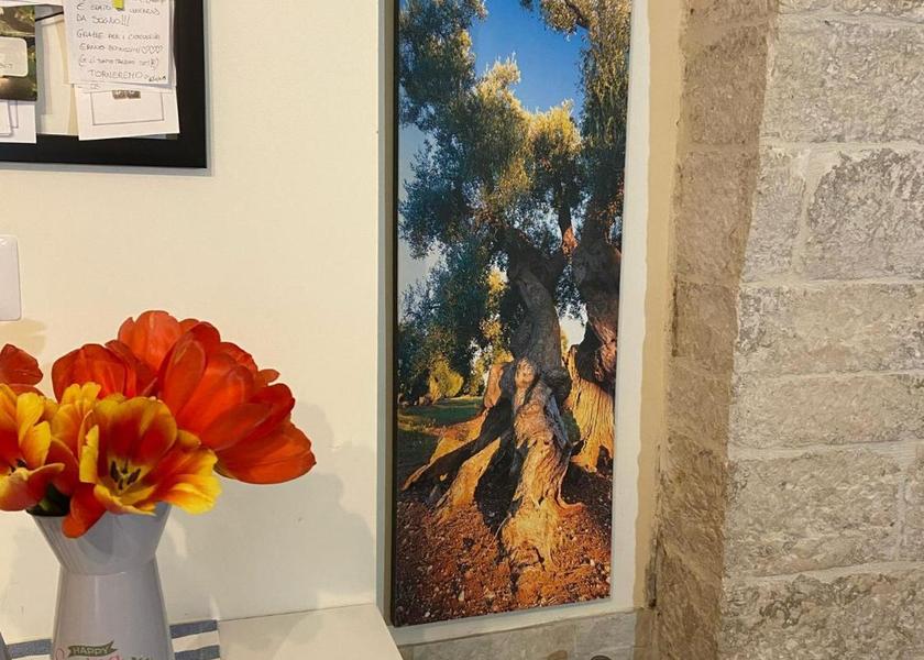 Puglia Giovinazzo facilities