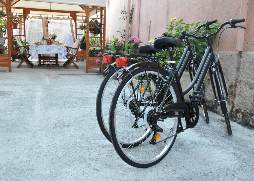 sports and activities