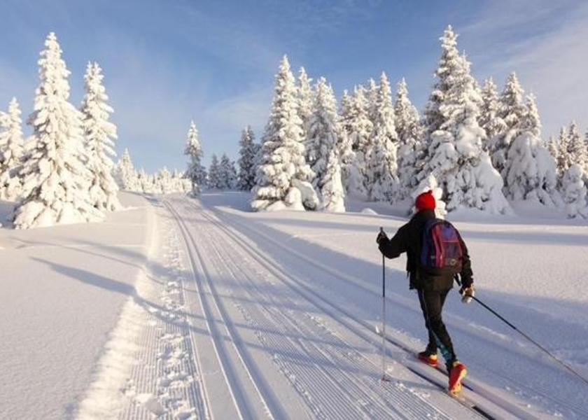 surrounding environment