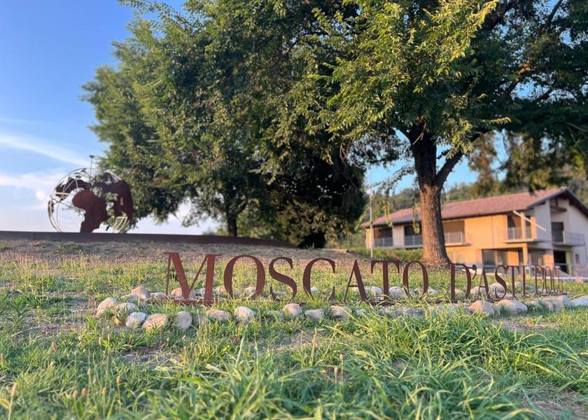 Piedmont Calamandrana 