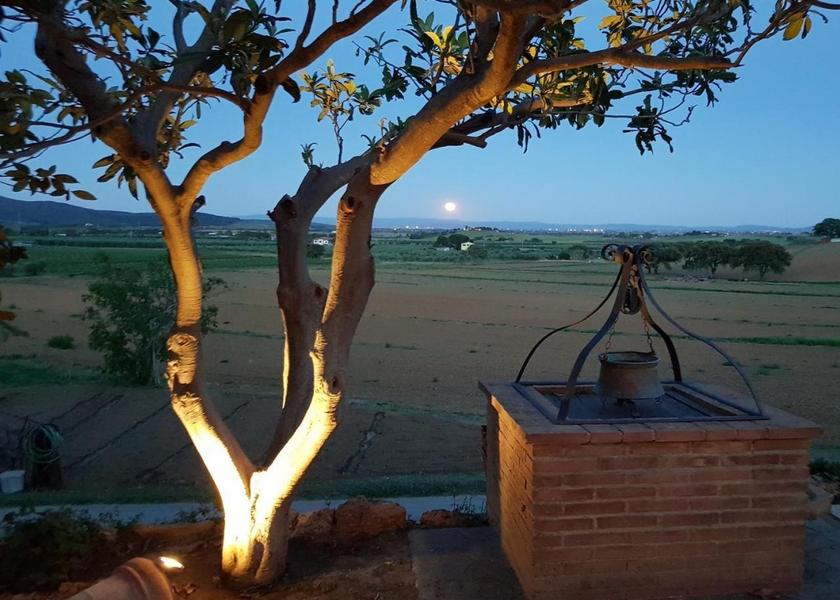 Tuscany Castiglione della Pescaia garden