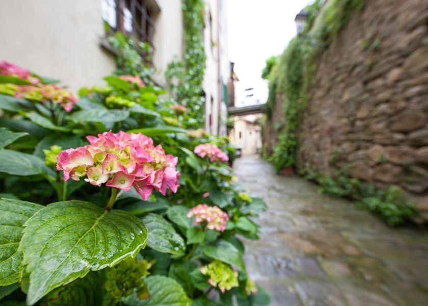 Tuscany Castiglion Fiorentino surrounding environment