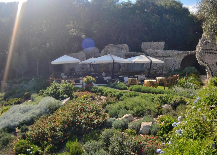 surrounding environment