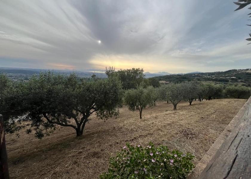 surrounding environment