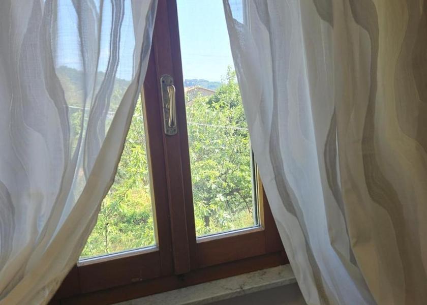 surrounding environment