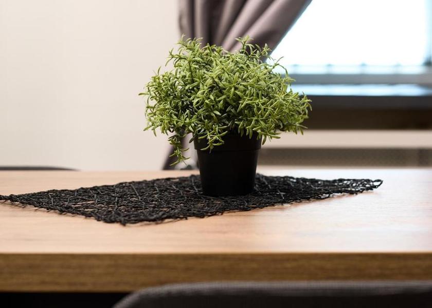 Vojvodina Novi Sad facilities