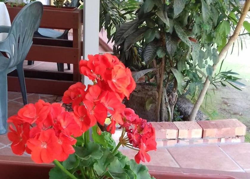 Campania Centola Public Areas