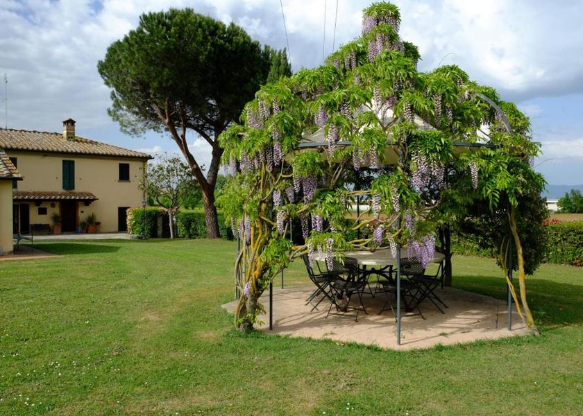 Tuscany Foiano della Chiana garden