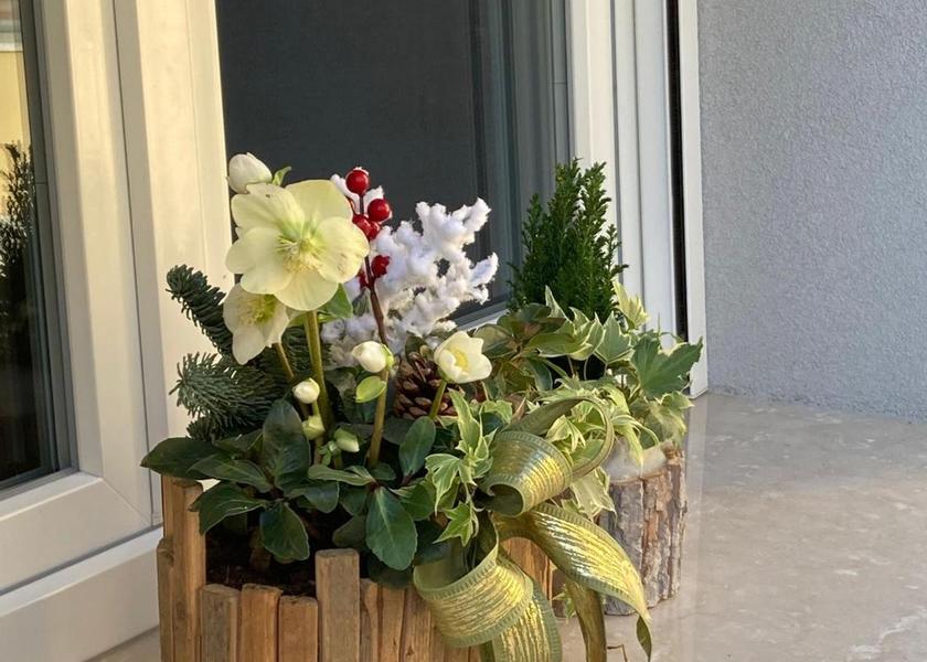 Emilia-Romagna Comacchio facilities