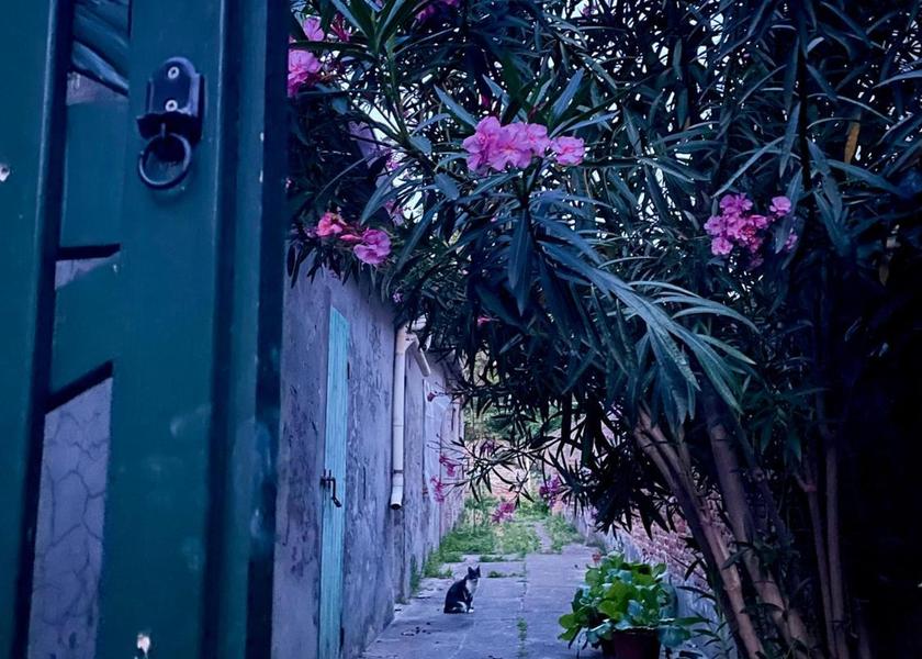 Emilia-Romagna Comacchio garden