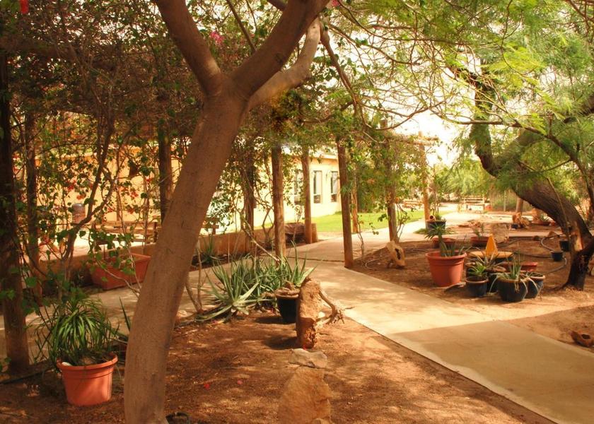 Southern HaArava HaTikhona garden
