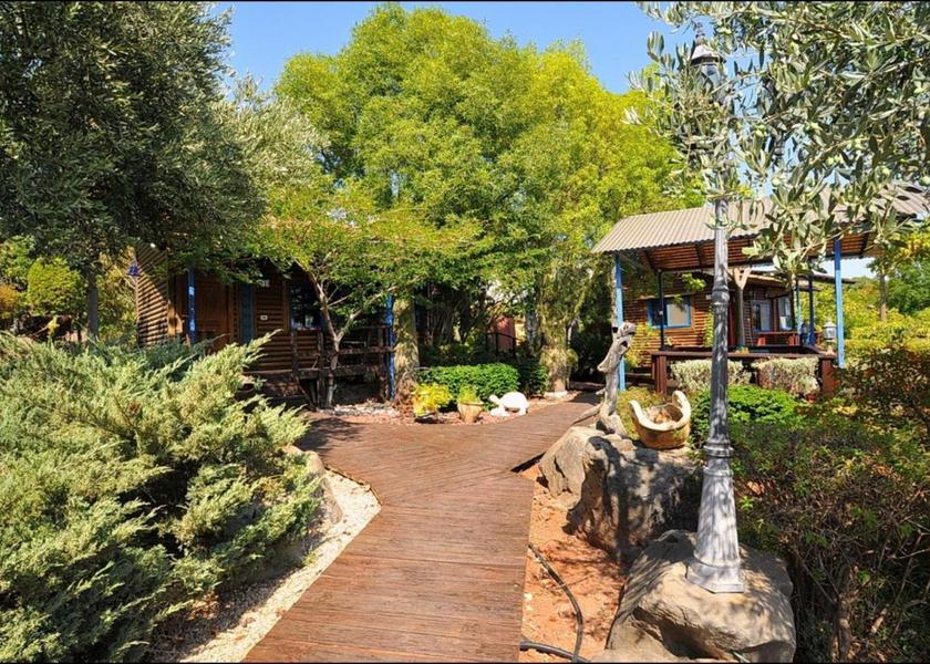 surrounding environment