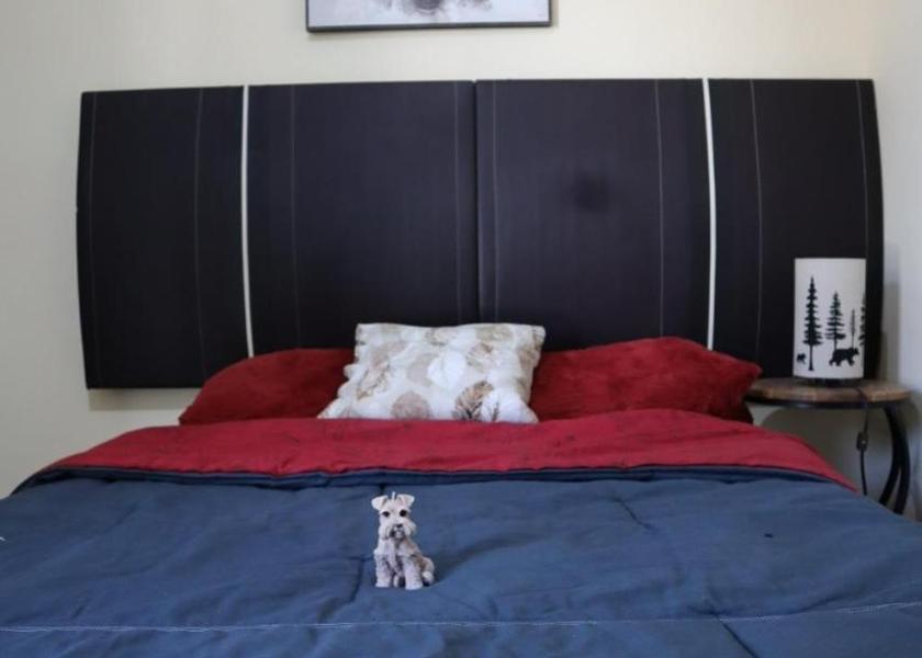 Coahuila Saltillo Double Room with Private Bathroom