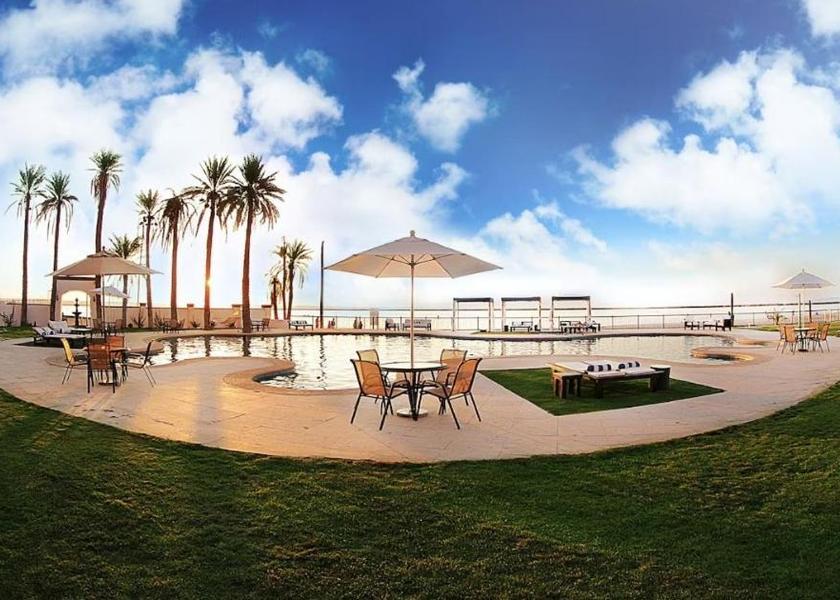 Baja California Sur La Paz garden