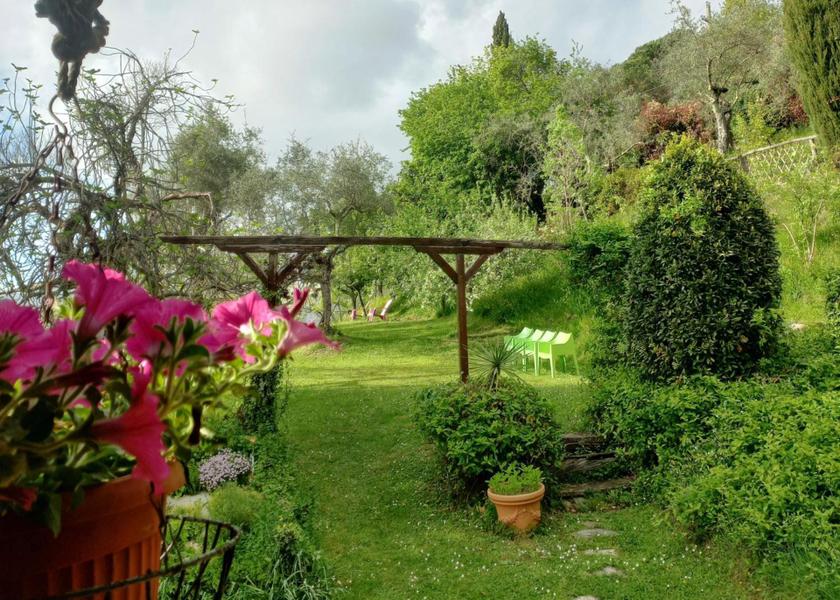 surrounding environment