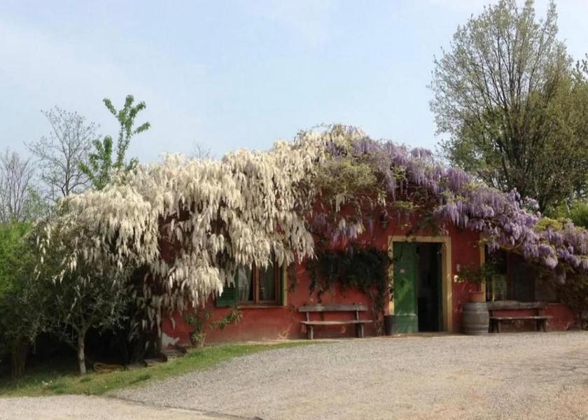 Piedmont Novi Ligure 
