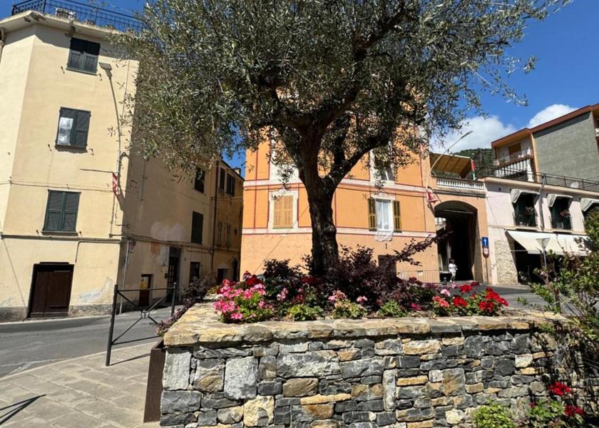 surrounding environment