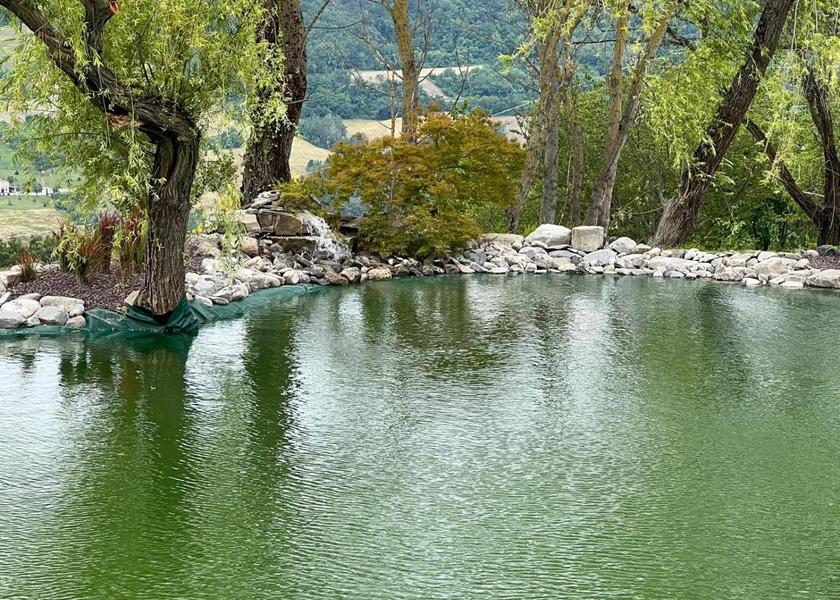 Emilia-Romagna Vernasca 