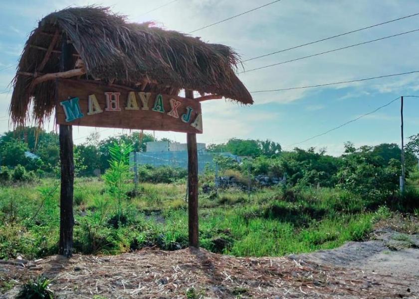 Quintana Roo Mahahual 