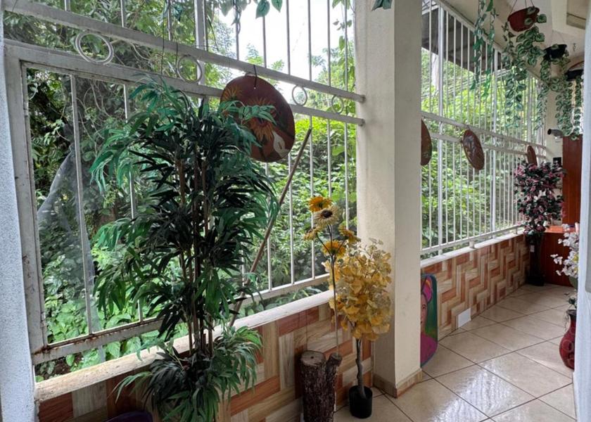 San Luis Potosi Xilitla 