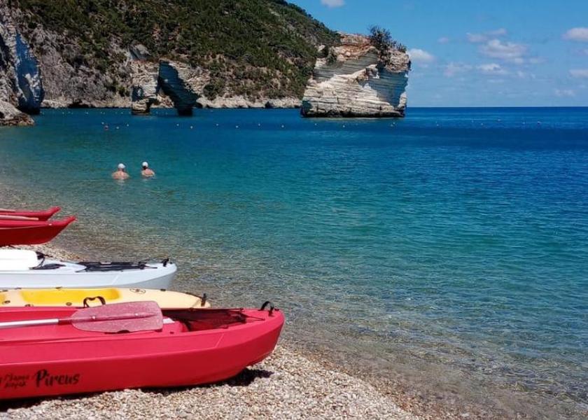 surrounding environment