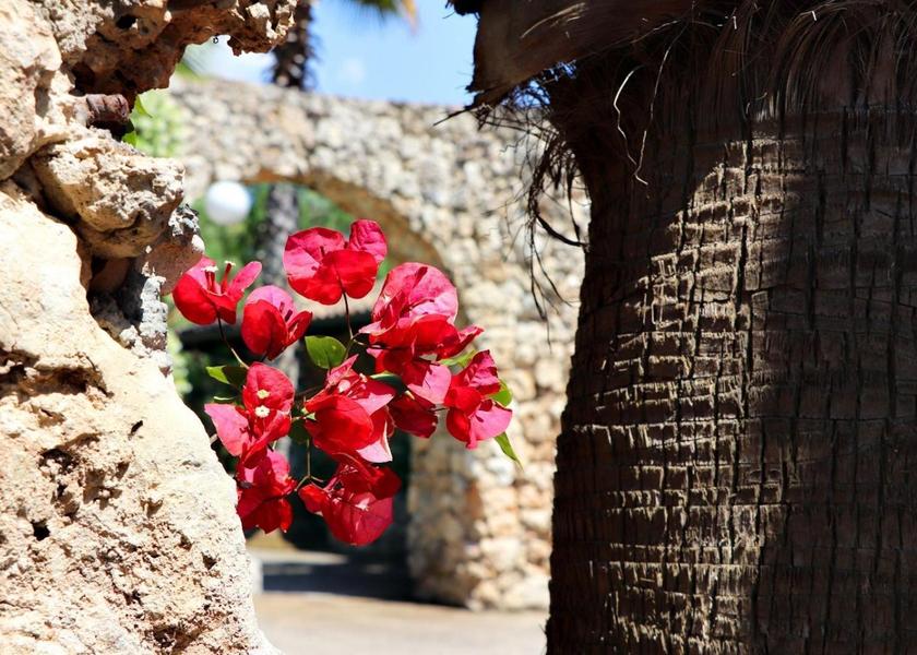 Puglia Ruffano surrounding environment