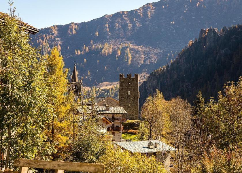 surrounding environment