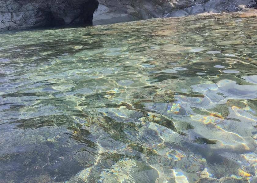 Campania Ogliastro Cilento 