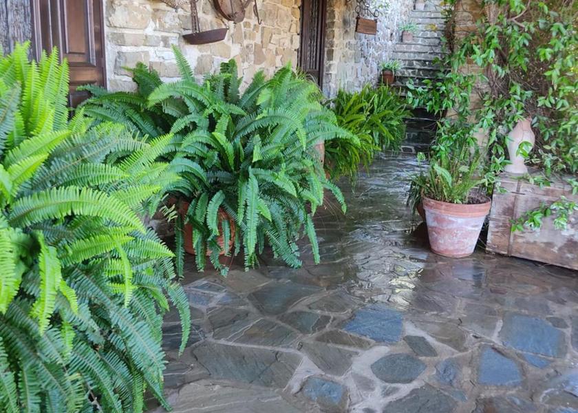 Campania Ogliastro Cilento 