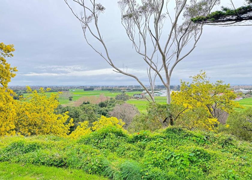 Manawatū-Whanganui Palmerston North surrounding environment