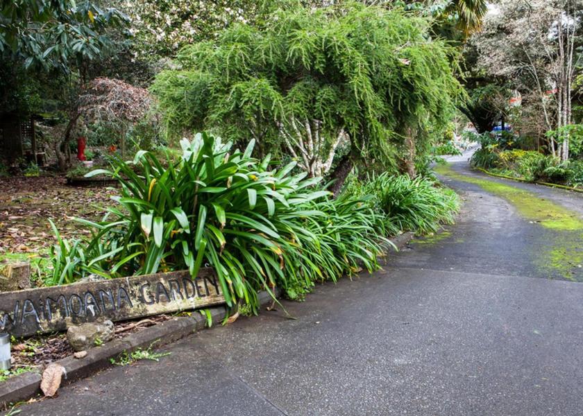 Northland Whangarei garden