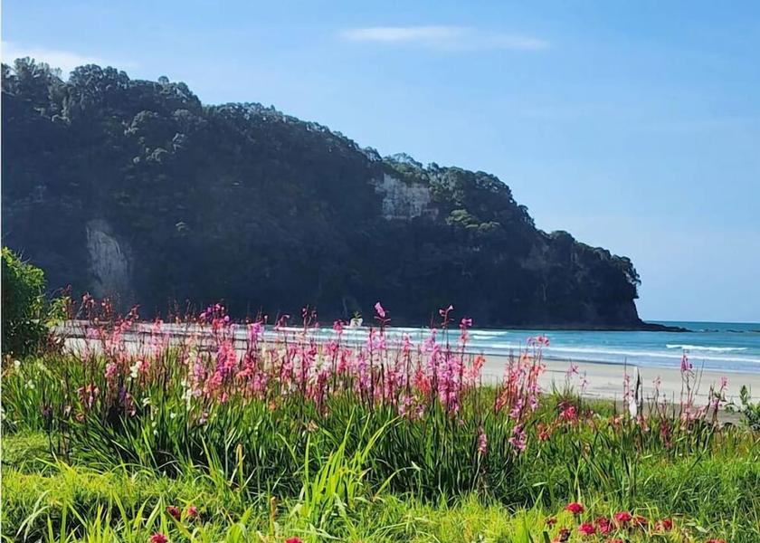 Bay of Plenty Region Ohope Beach