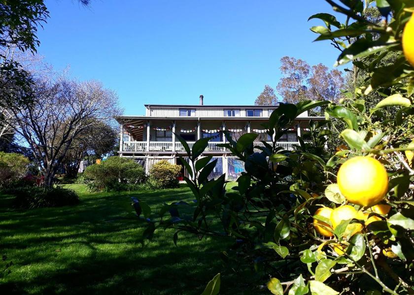 Waikato Colville 