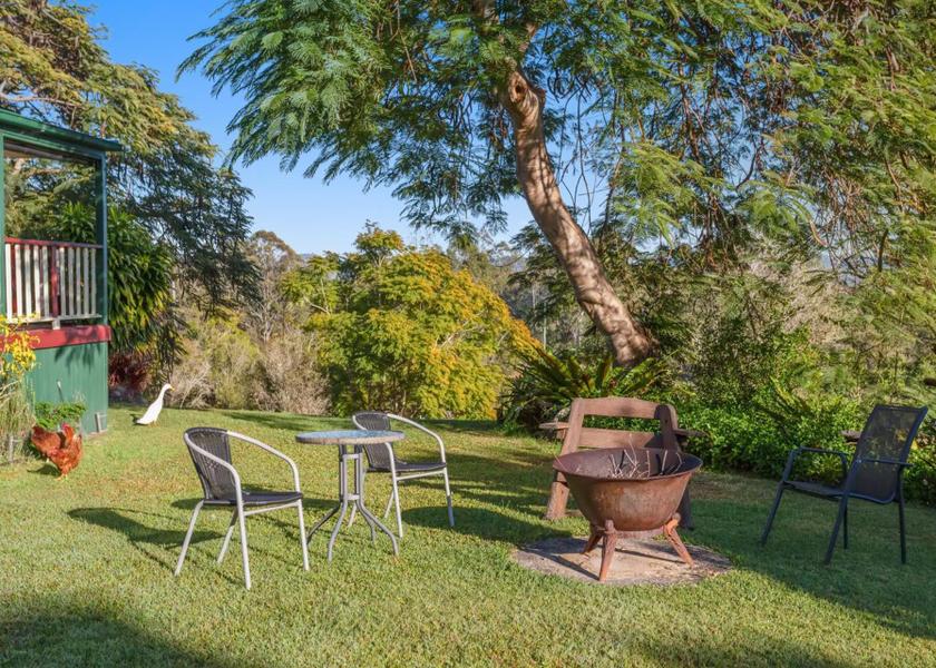 Queensland Amamoor garden